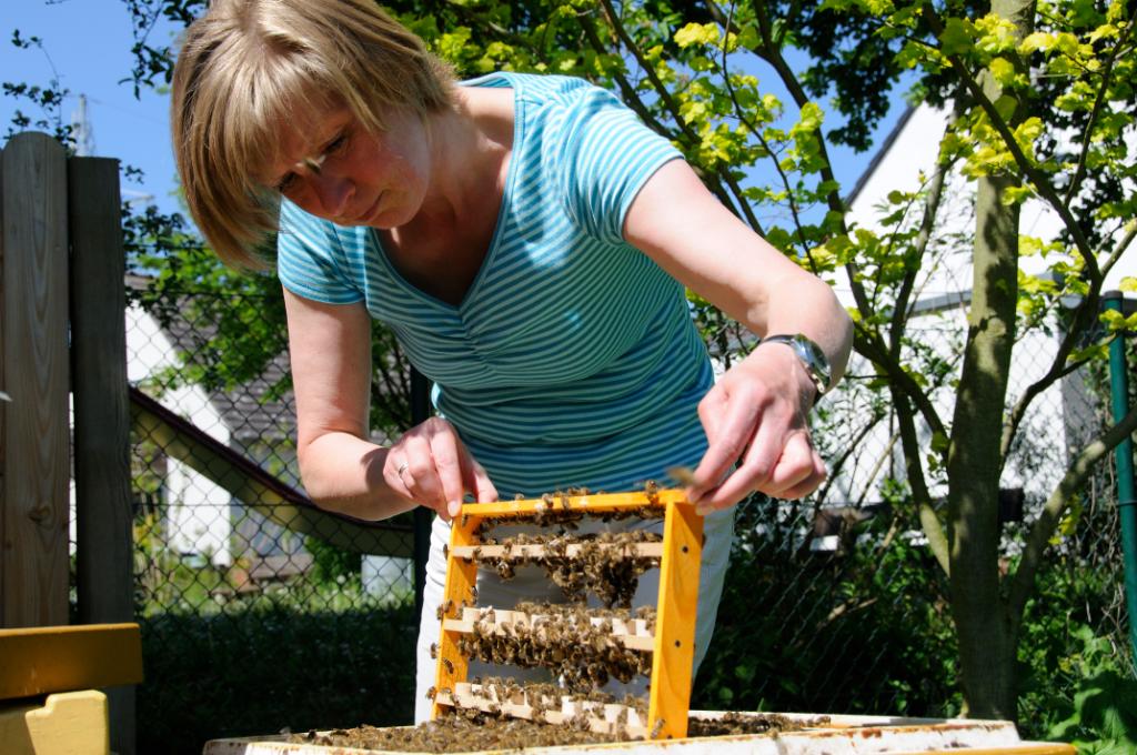 Bienenköniginnen