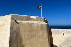 57529184-95E8-4FFD-A87D-AE852BB8909E