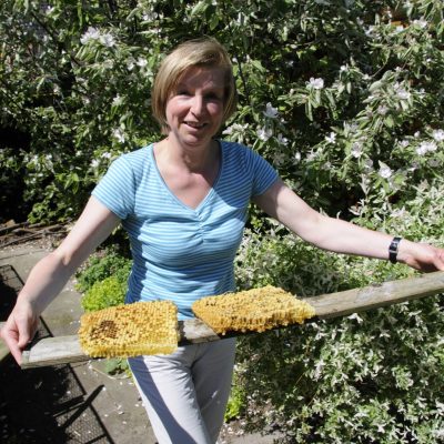 Die ausgeschnittenen Drohnenwaben werden an die Hühner verfüttert